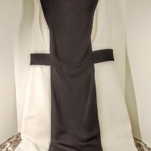 Cynthia Rowley Tank Dress